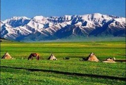 新疆旅游网红爆料视频,网红视频揭秘绝美风光与独特风情