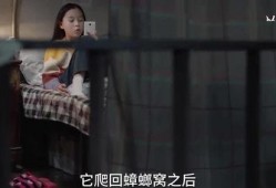 爆料娱乐姐姐视频,笑料百出，欢乐无限